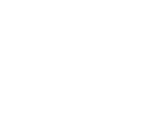 가수